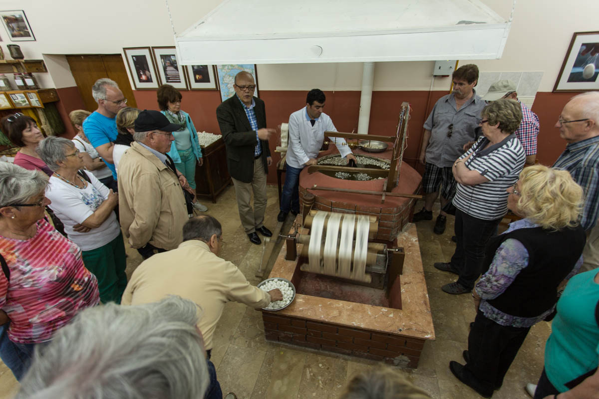 Sentez | Denizli Halı